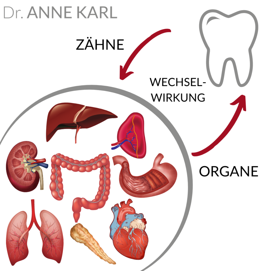 Wechselwirkungen zwischen Zähnen und Organen