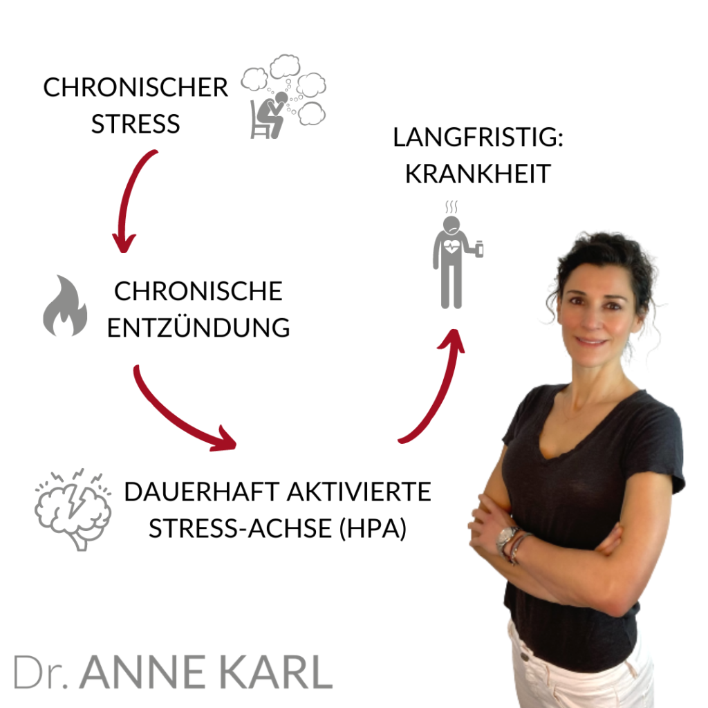 Chronischer Stress und chronische Entzündungen