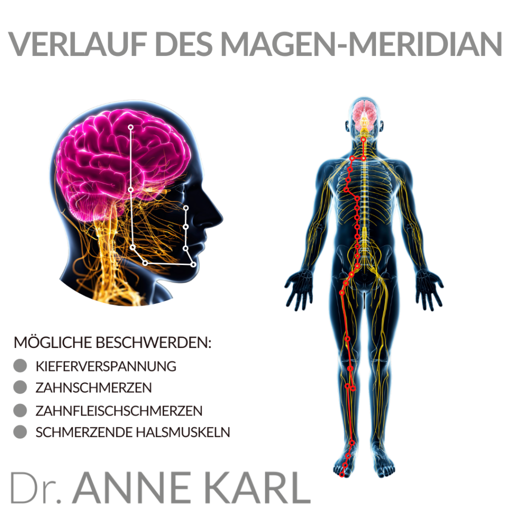 Verlauf des Magenmeridian