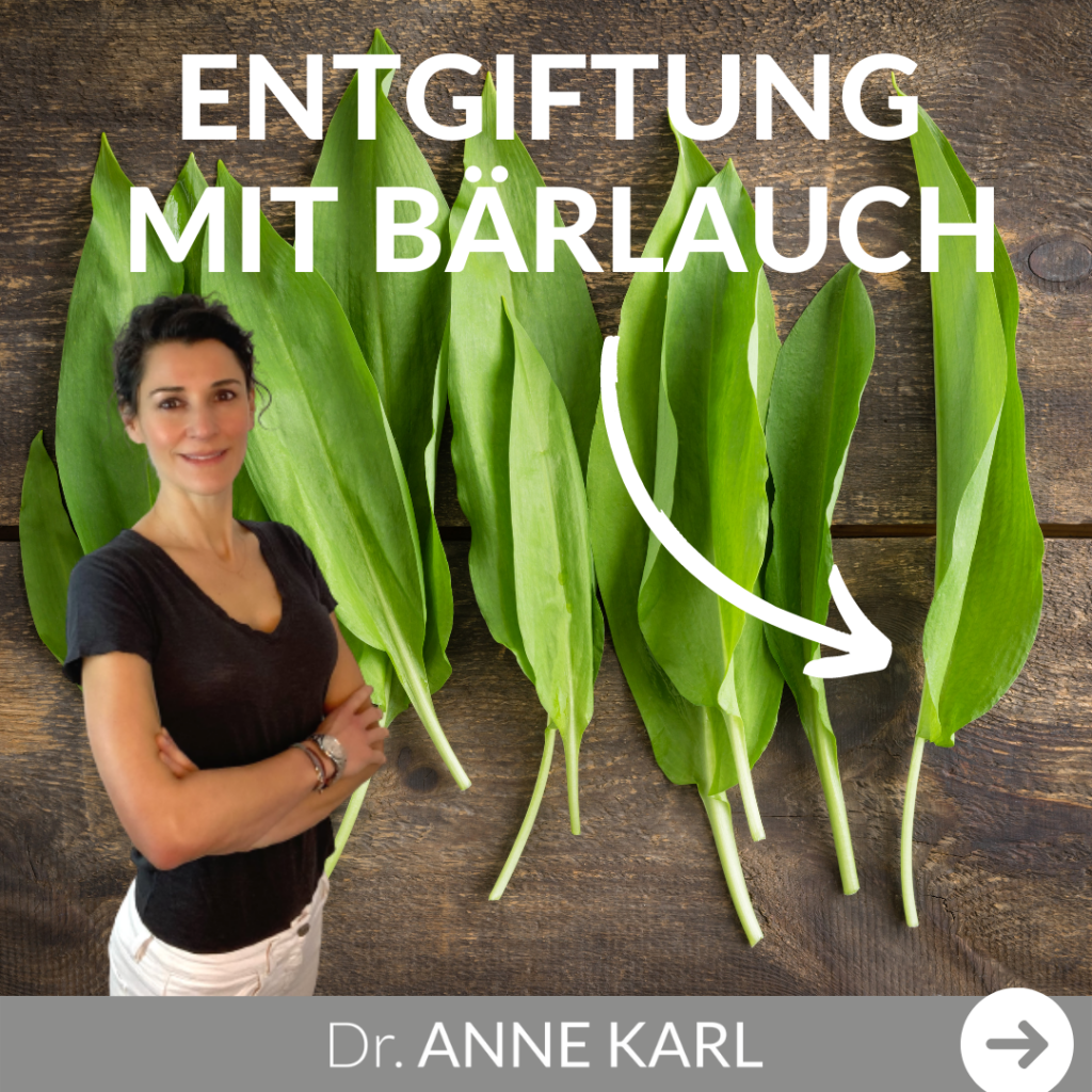 Entgiftung mit Bärlauch