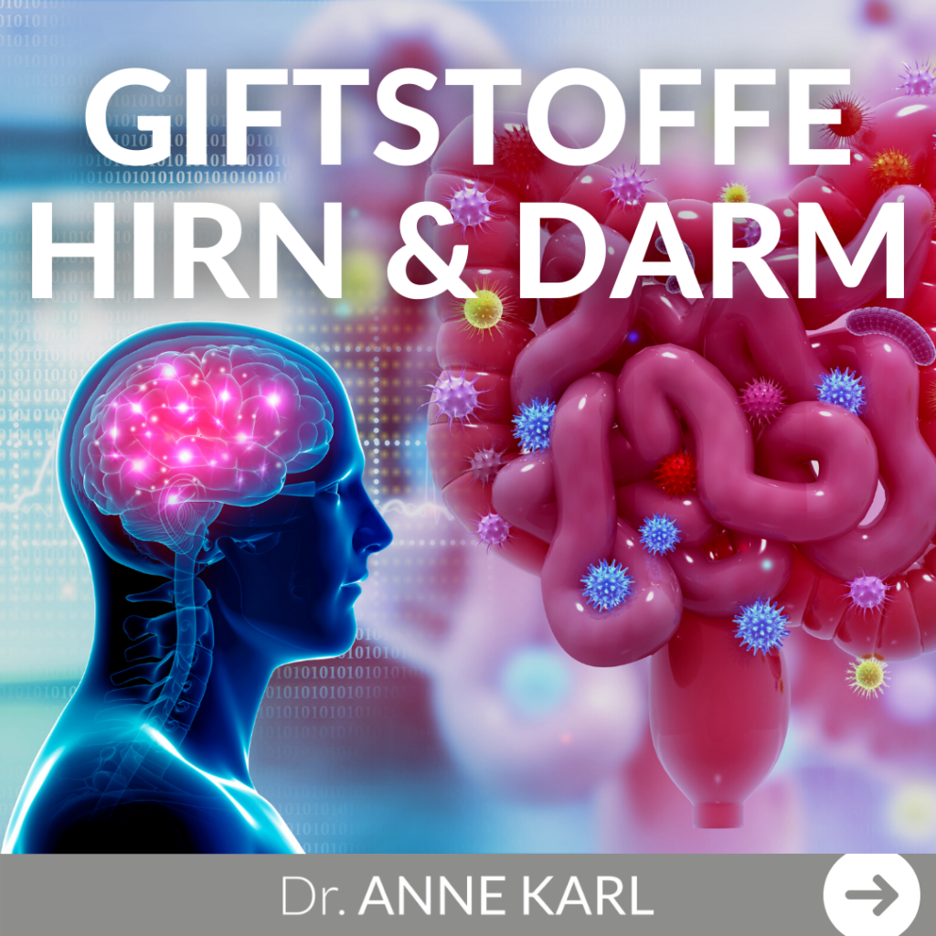 Giftstoffe - Darm und Hirn 