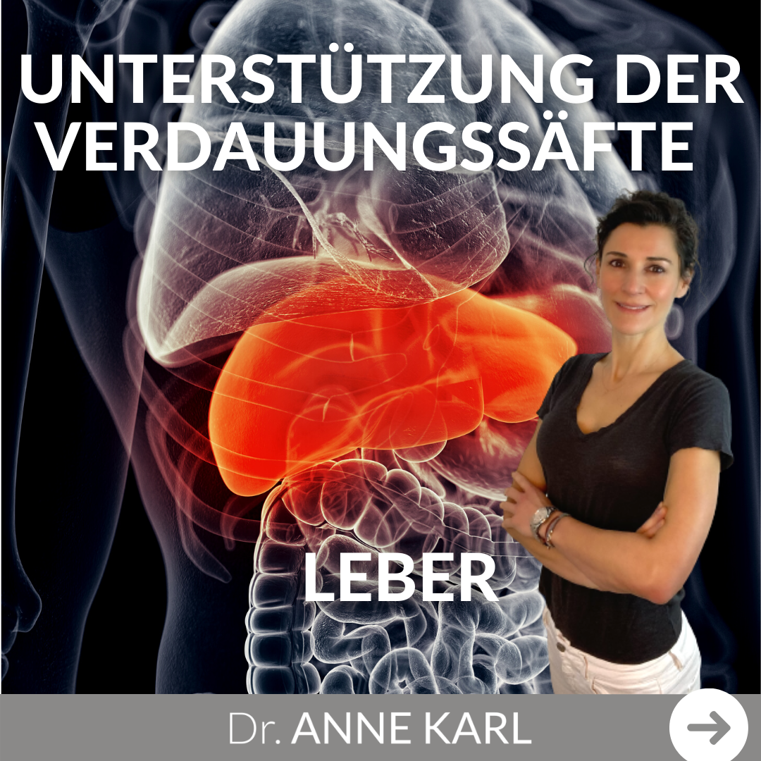 Unterstützung der Verdauungssäfte - Leber