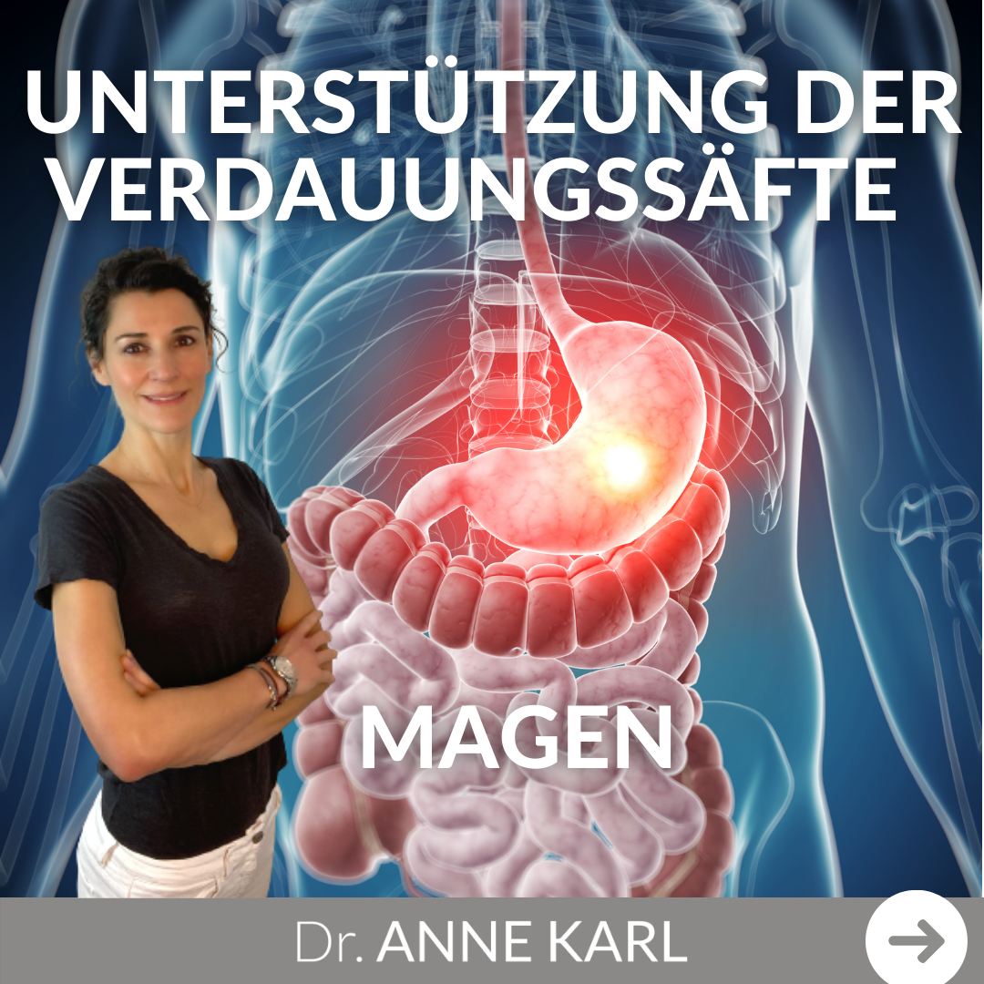 Unterstützung der Verdauungssäfte - Magen