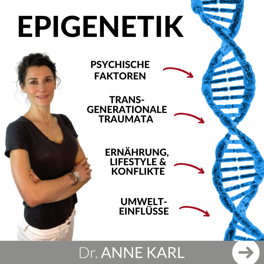 Epigenetik - Steuerung der Gene