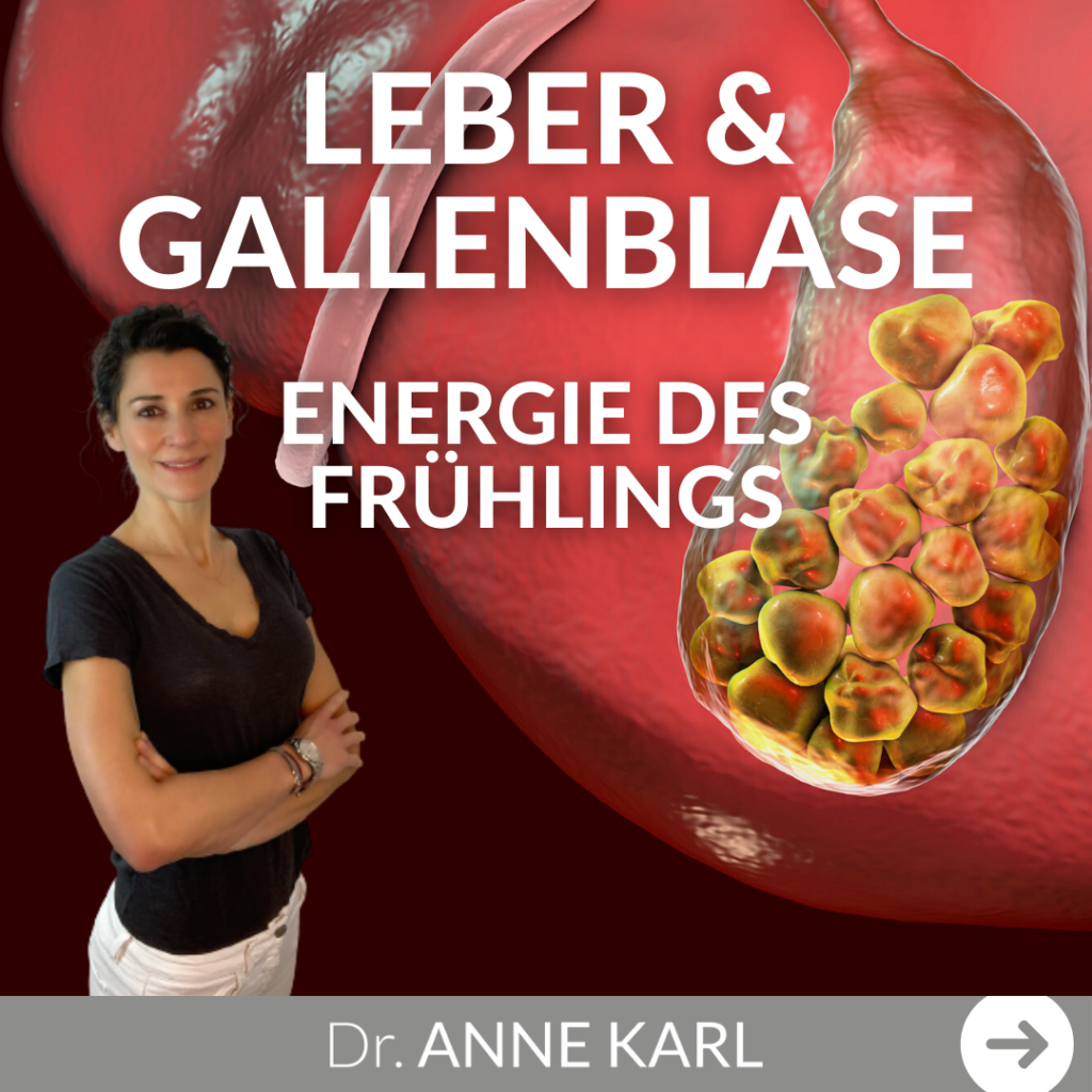 Leber und Gallenblase als Entgiftungsorgane