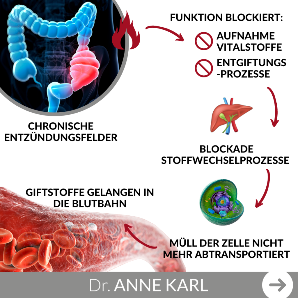 Häufigste Belastungen und Therapieblockaden