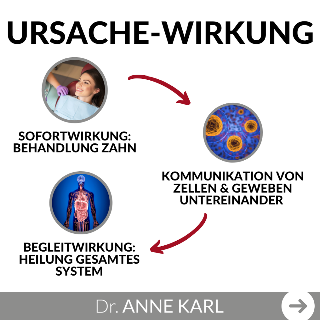 Ursache-Wirkungsprinzip