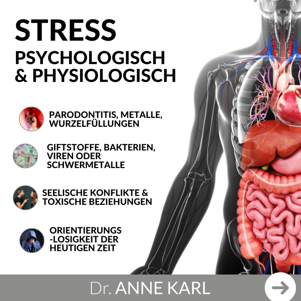 Stress - Psychologisch und physiologisch