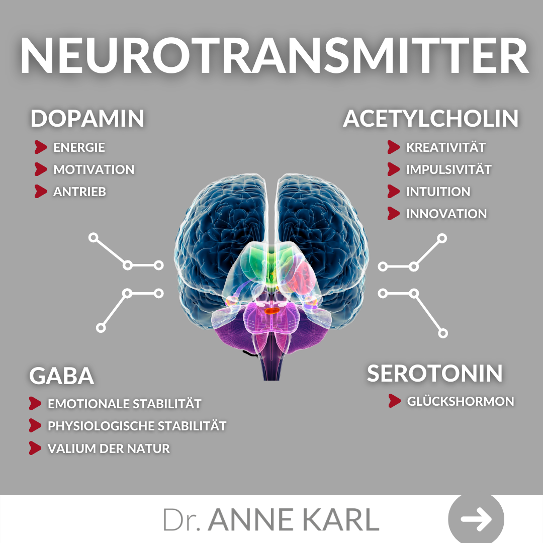 Neurotransmitter Dopamin