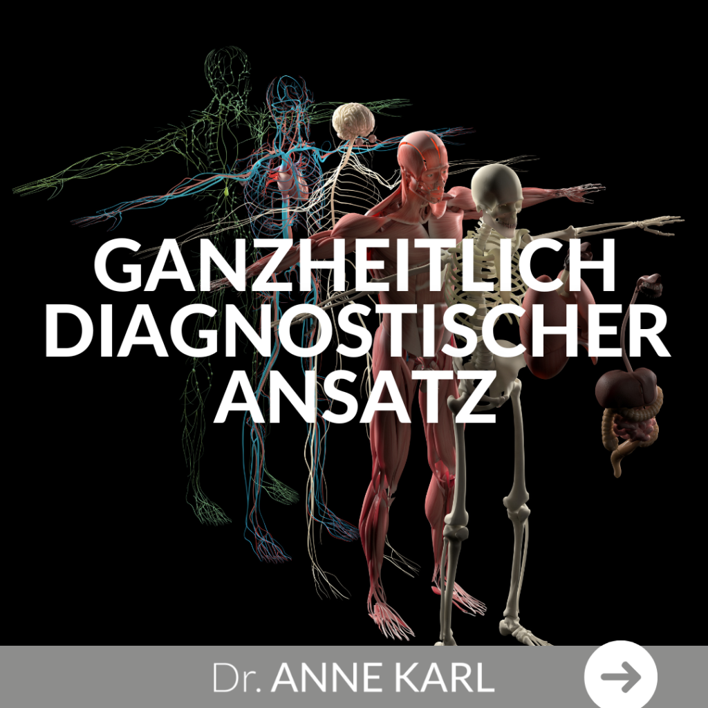 Ganzheitlich diagnostischer Ansatz