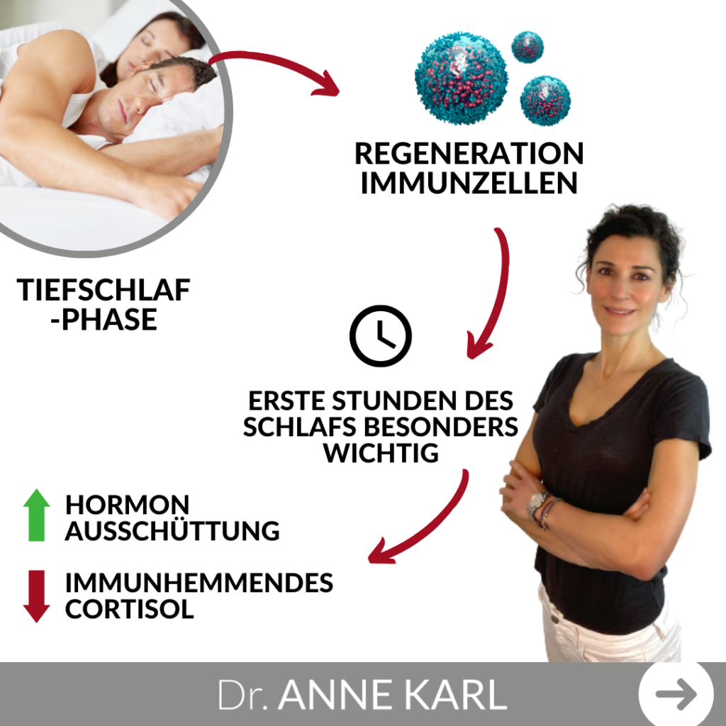 Regeneration in der Tiefschlafphase