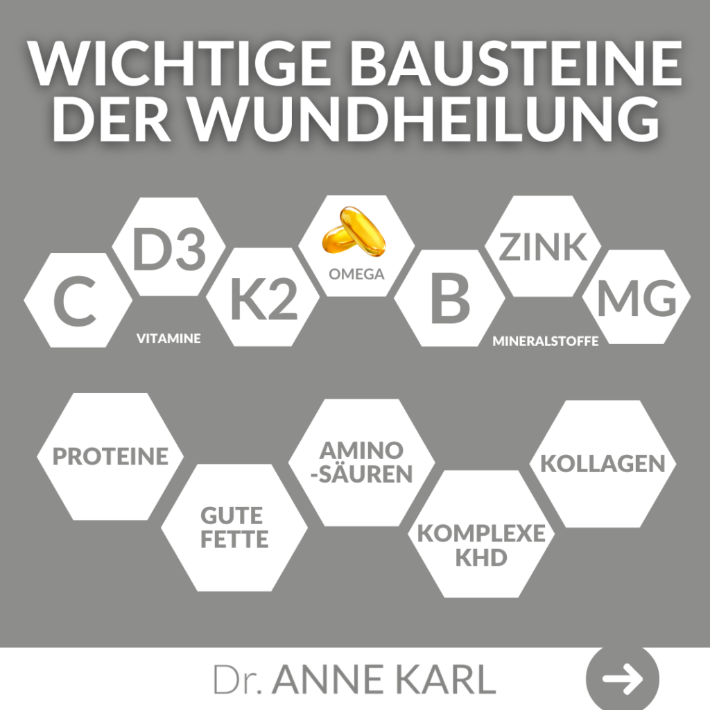 Wichtige Bausteine der Wundheilung