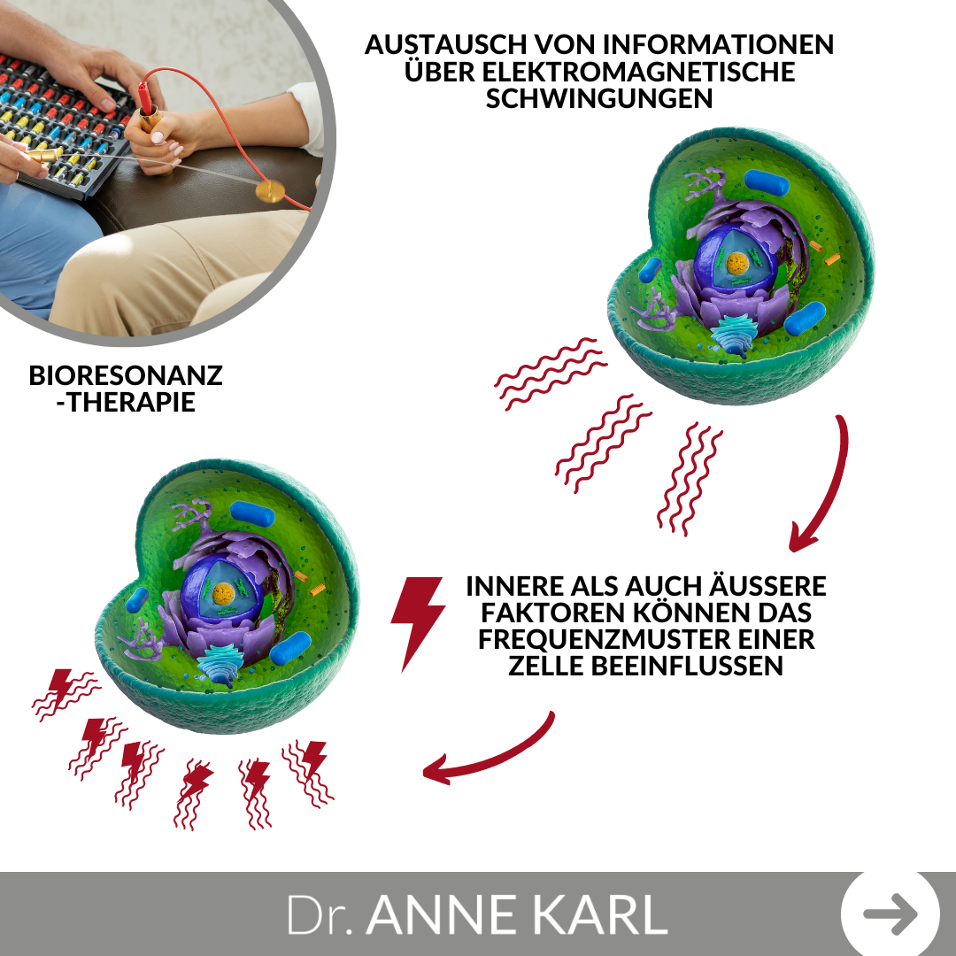 Bioresonanztherapie